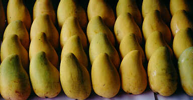 Mangos from Paradise Farm Chiang Rai, North Thailand. (13.4 K)