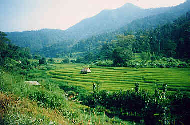 Chiang Dao area, Contact Travel and Adventure, Chiangmai, North Thailand.