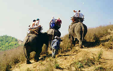 Elephant ride, Contact Travel and Adventure, Chiangmai, North Thailand.