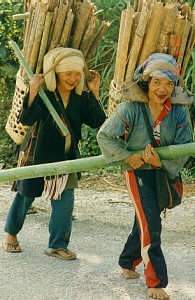 Akha-Frauen tragen nach einem arbeitsreichen Tag ihre Lasten ins Akha-Bergdorf, Provinz Chiang Rai, Nord-Thailand.