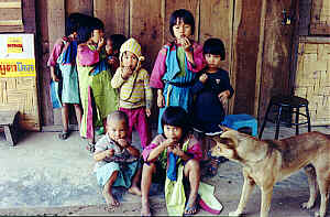 Lisu children with dog, Lisu hill tribe village, Chiang Mai Province, Northern Thailand