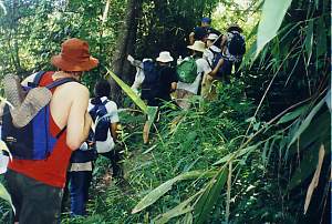 Trekking in hills of northern thailand, Siam Sun Tours Ltd. Part. Chiang Mai, cnx051_1.jpg (19269 Byte)