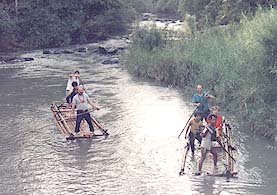 Mini Trek by Siam Sun Chiangmai