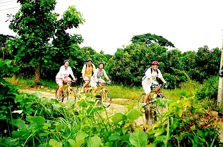 Fahrradtour by Siamsun Chiangmai