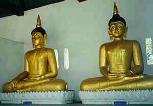 Two golden, sitting Buddha statues (about three meters high) at Wat Chedi Luang in Chiang Mai.
   (7.4 K)