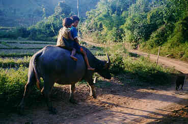 Northern Trails, Contact Travel and Adventure, Chiangmai, North Thailand.