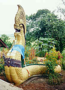 Ko Mae Mai, Ban Nong Nam, Chiang Saen, Bild 6 (14.0 K)