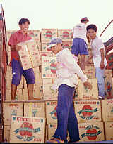 Apples from China, photo 2 (7.9 K)