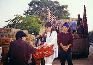 Apples from China, photo 3 (12.8 K)