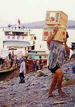 Apples from China, photo 1. (8.2 K)